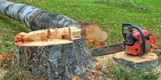 Best Tree Removal  in Ashaway, RI