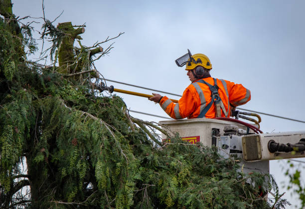 Best Utility Line Clearance  in Ashaway, RI